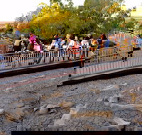 Australian Age of Dinosaurs - Sydney Tourism