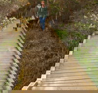 Balcombe Creek Estuary Boardwalk - Sydney Tourism