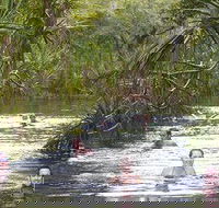 Berry Springs - Sydney Tourism