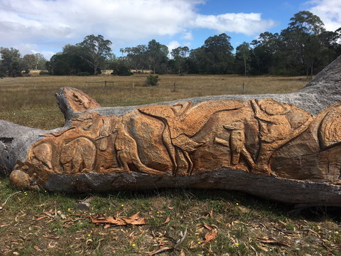 Bilston's Tree - Sydney Tourism 1