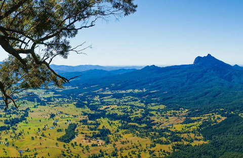 Blackbutt Lookout Picnic Area - Sydney Tourism 0