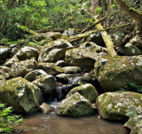 Booyong Walking Track