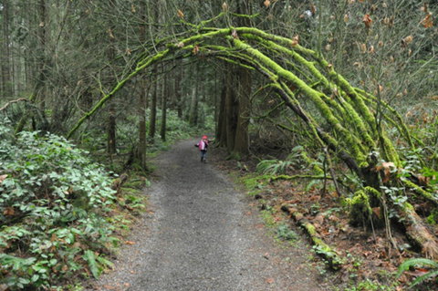 Bridle Trail - Sydney Tourism 0