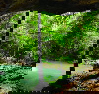 Buderim - Sydney Tourism