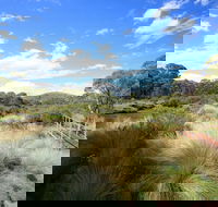 Bullocks walking track - Sydney Tourism