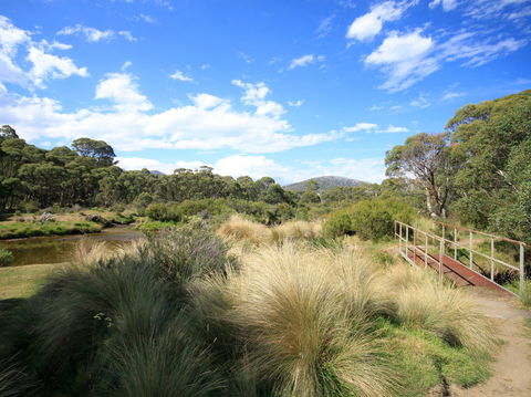Bullocks Walking Track - Sydney Tourism 0