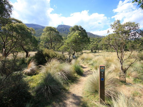 Bullocks Walking Track - Sydney Tourism 2