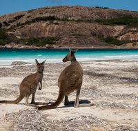 Cape Le Grand National Park - Sydney Tourism