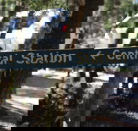 Central Station - Sydney Tourism