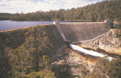 Collie - Sydney Tourism 0
