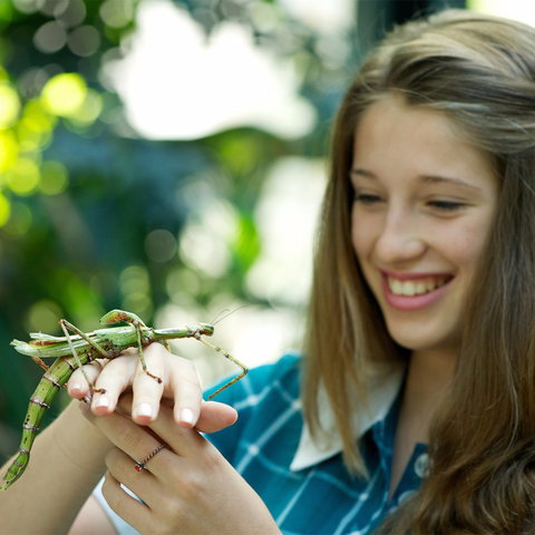 CSIRO Discovery Centre - Sydney Tourism 1
