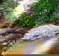 Currumbin Rock Pools - Sydney Tourism