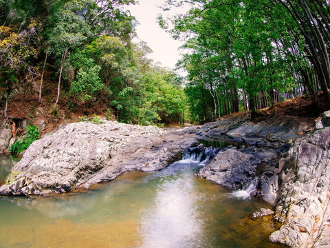 Currumbin Rock Pools - Sydney Tourism 0