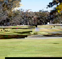 Deniliquin Golf Club