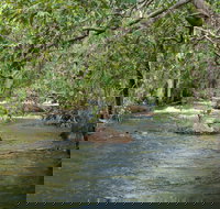 Florence Creek walk - Sydney Tourism