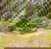 Goodenia Rainforest picnic area - Sydney Tourism