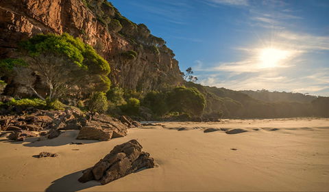 Greenglade Picnic Area - Sydney Tourism 0