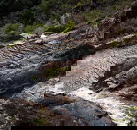 Halls Falls - Sydney Tourism