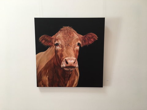 Ivy Hill Gallery - Sydney Tourism 2