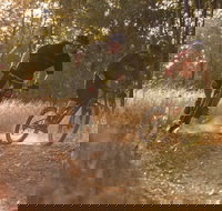 Kholo Gardens Trails - Sydney Tourism