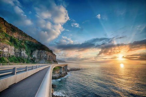 Kramer Photography Rainforest Gallery - Sydney Tourism 0