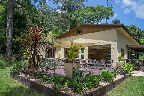 Kramer Photography Rainforest Gallery - Sydney Tourism 2