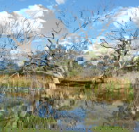 Lagoon Creek - Sydney Tourism