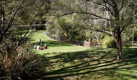 Leura Cascades - Sydney Tourism 0
