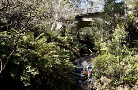 Leura Cascades - Sydney Tourism 2