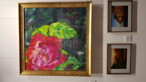 Macleay Valley Community Art Gallery - Sydney Tourism 0