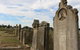 Maitland Jewish Cemetery - thumb 1