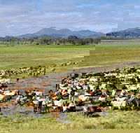 Marlborough - Sydney Tourism