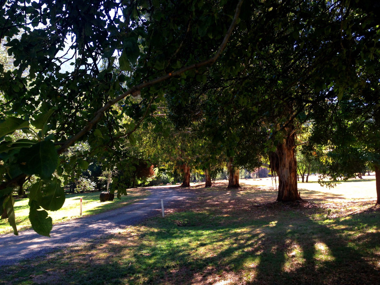 Mirimbah VIC Sydney Tourism