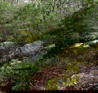 Mongarlowe River picnic area - Sydney Tourism