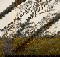 Mountaineer-Glowang trail - Sydney Tourism