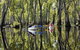 Murray River Canoe Trails - thumb 0