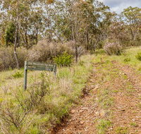 Old Mountain Road Walking Track - Sydney Tourism