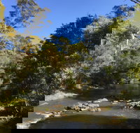 Pipers River Board Walk - Sydney Tourism