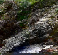 Potoroo Falls walk - Sydney Tourism