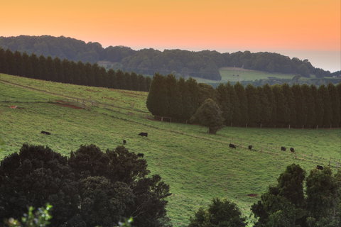 Robertson Heritage Railway Station - Sydney Tourism 2