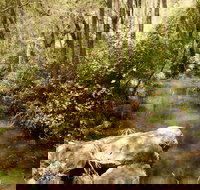 Sandy Creek Track - Sydney Tourism