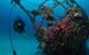 Severance Shipwreck Dive Site - thumb 0