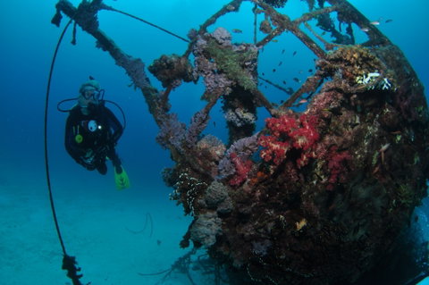 Severance Shipwreck Dive Site - Sydney Tourism 0