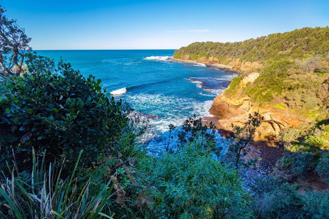 Shellgrit Beach (Red Head) - Sydney Tourism 0