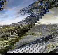Snow Gums boardwalk - Sydney Tourism