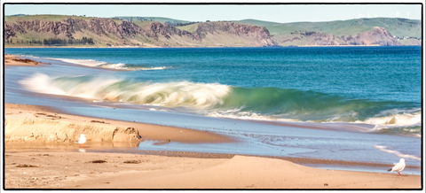Starfish Hill Windfarm - Sydney Tourism 0