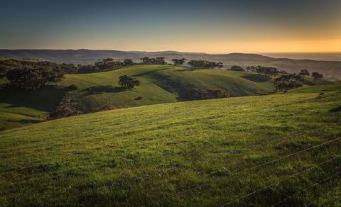 Starfish Hill Windfarm - Sydney Tourism 1
