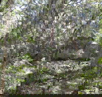 Tallaganda National Park - Sydney Tourism