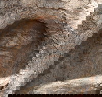 The Face Tree near Burke and Wills Dig Tree - Sydney Tourism