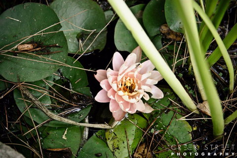 The Beach Bible Garden - Sydney Tourism 0